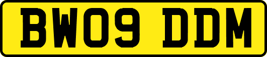 BW09DDM
