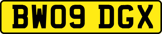 BW09DGX