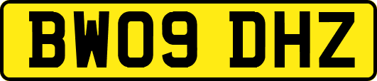 BW09DHZ