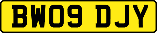 BW09DJY