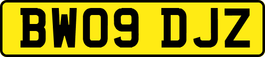 BW09DJZ