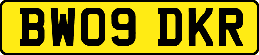 BW09DKR