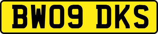 BW09DKS