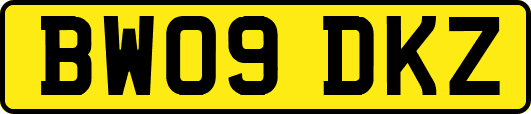 BW09DKZ