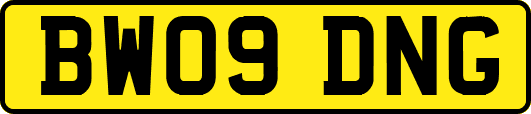 BW09DNG