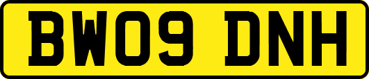 BW09DNH