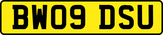 BW09DSU