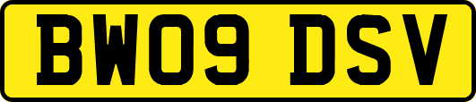 BW09DSV