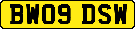 BW09DSW
