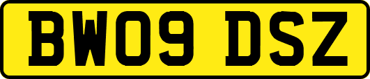 BW09DSZ