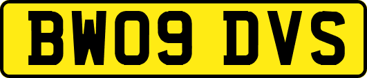 BW09DVS