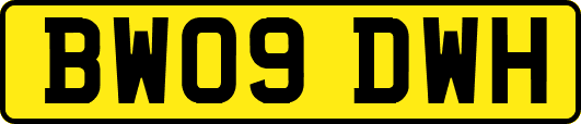 BW09DWH