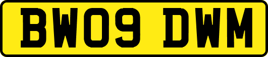 BW09DWM