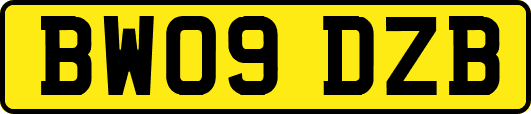BW09DZB