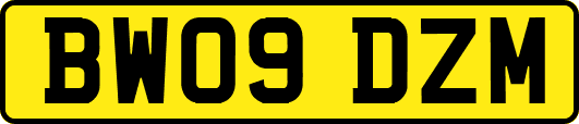 BW09DZM