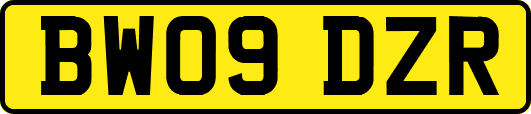 BW09DZR