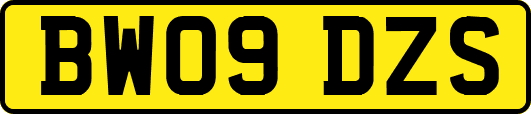 BW09DZS