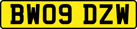 BW09DZW