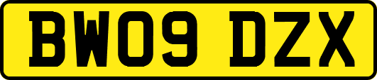 BW09DZX