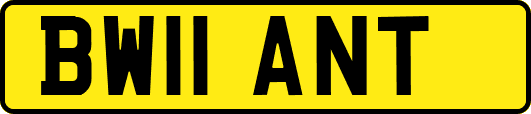 BW11ANT