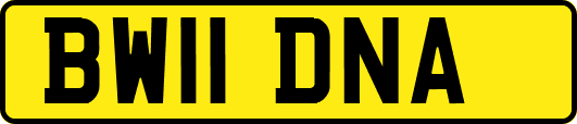 BW11DNA