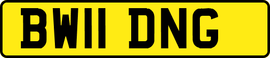 BW11DNG