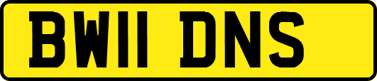 BW11DNS
