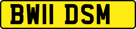 BW11DSM