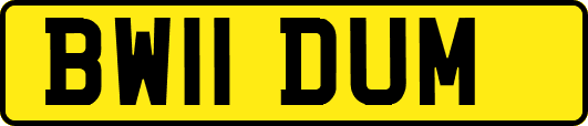 BW11DUM