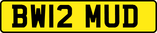 BW12MUD