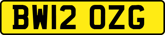 BW12OZG