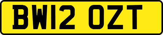 BW12OZT