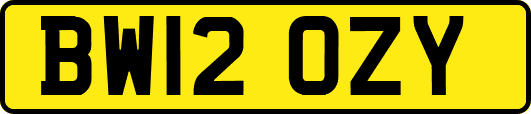 BW12OZY
