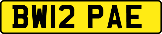 BW12PAE