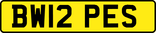 BW12PES