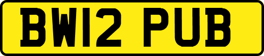 BW12PUB