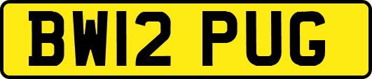 BW12PUG