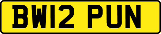 BW12PUN