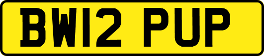 BW12PUP