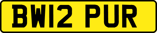 BW12PUR