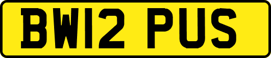 BW12PUS