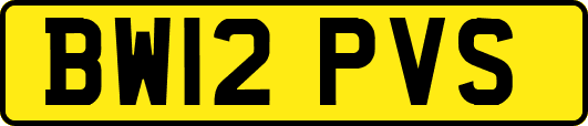 BW12PVS