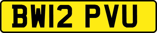 BW12PVU