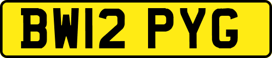 BW12PYG