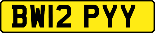 BW12PYY
