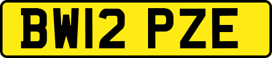 BW12PZE
