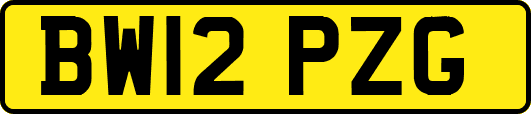 BW12PZG