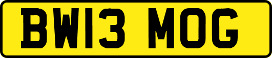 BW13MOG