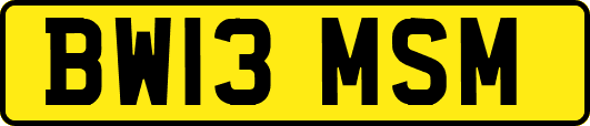 BW13MSM