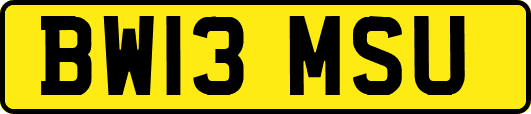 BW13MSU